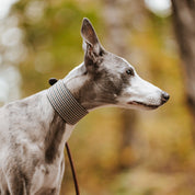 Collar de perro a cuadros beige de pata de gallo ancho