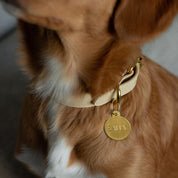 Beige Collar para Perro Delgado