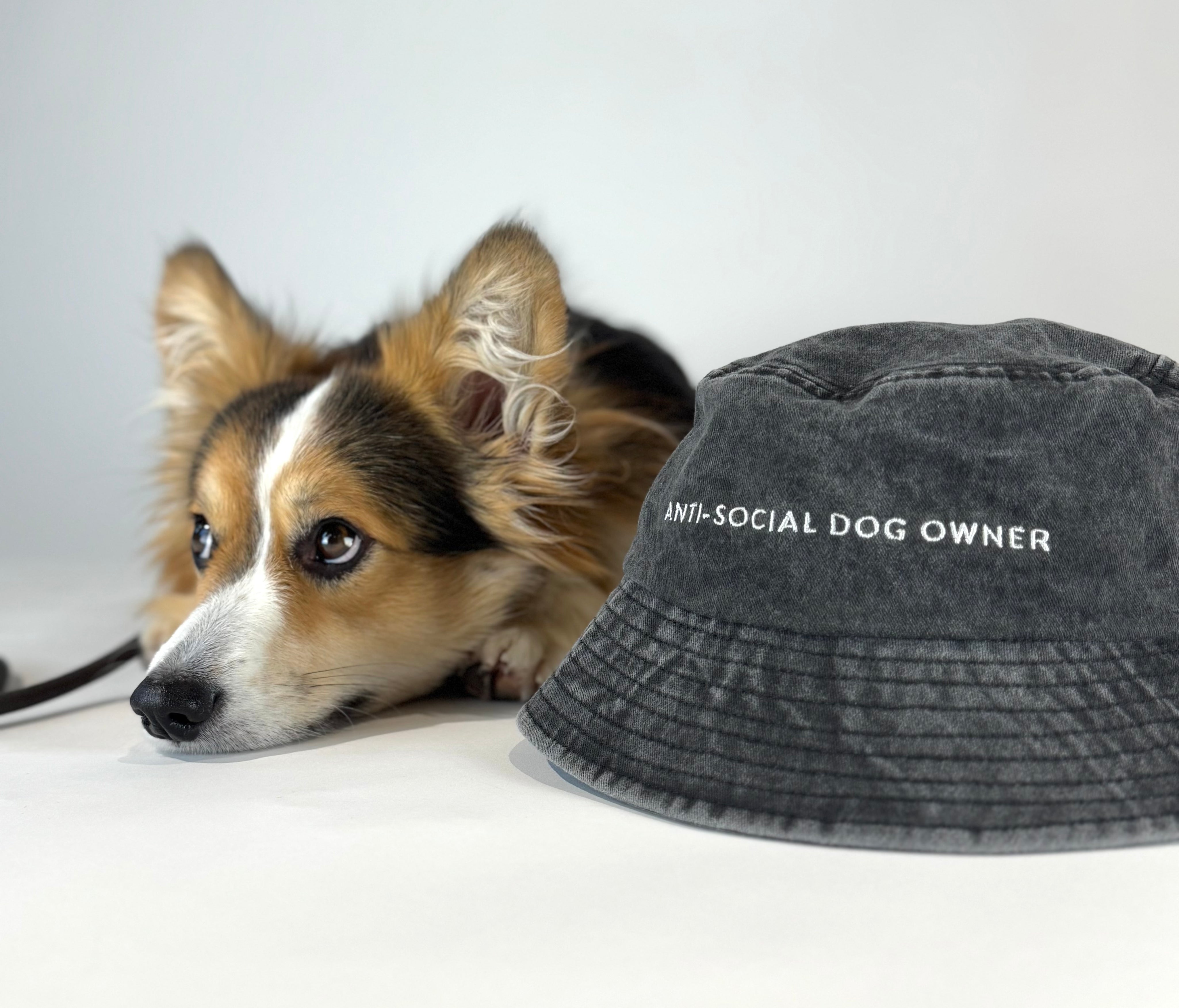 Gorro vaquero negro - Anti-Social Dog Owner