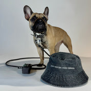 Gorro vaquero negro - Anti-Social Dog Owner