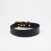 Collar de Perro Negro Croco Delgado