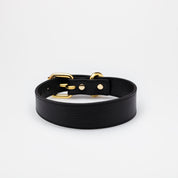 Collar para Perro Negro Delgado