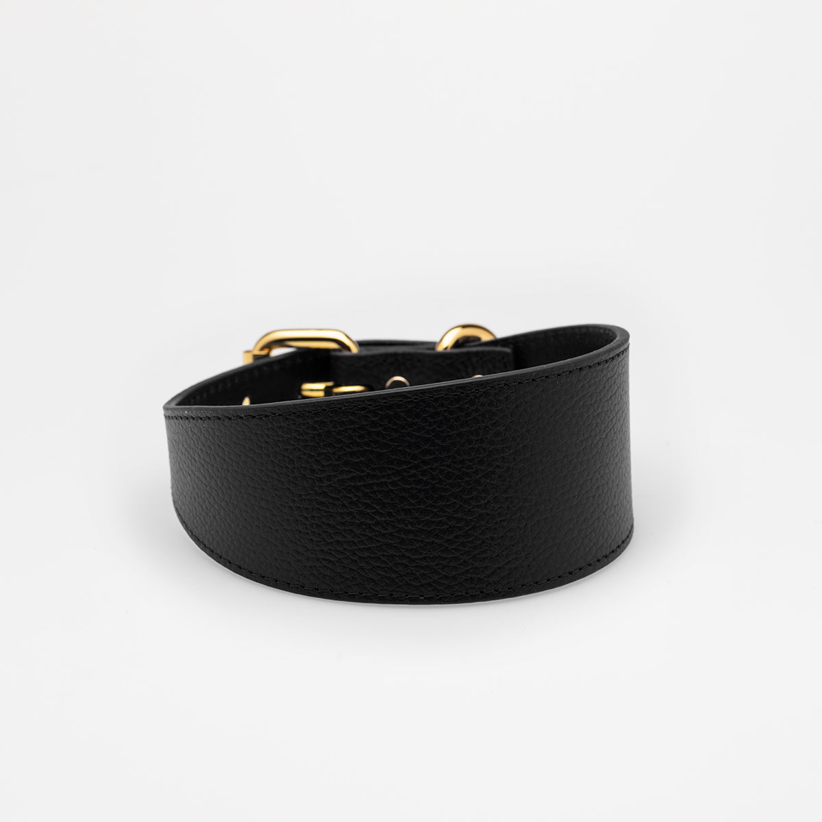 Collar de Perro Negro Ancho
