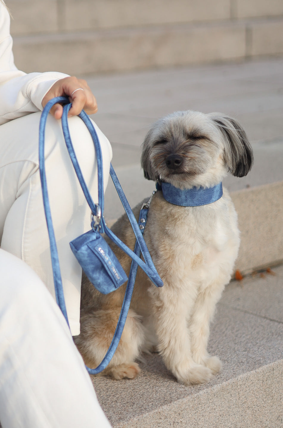 Correa para perro de mezclilla azul