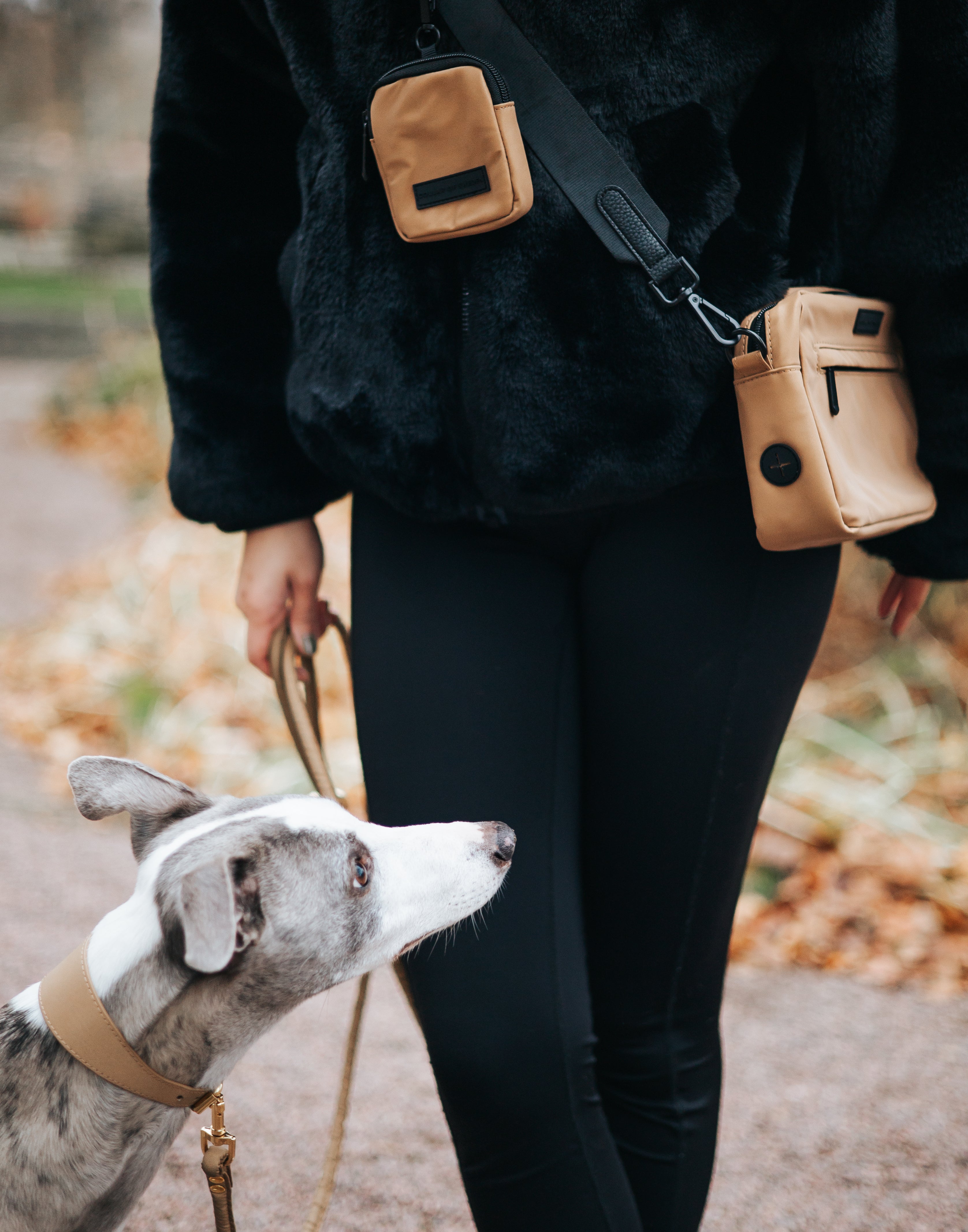 Bolsa para caminar con perro de bronce reflectante - Bandolera 