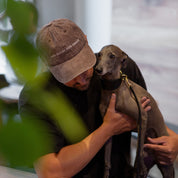 Brown Denim Cap - Anti-Social Dog Owner