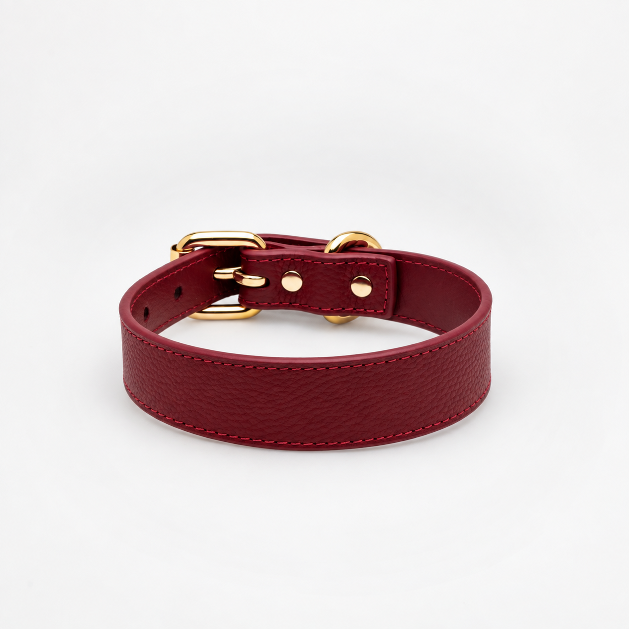 Collar de Perro Delgado en Borgoña