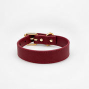 Collar de Perro Delgado en Borgoña