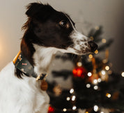 Collar de perro ancho de Navidad