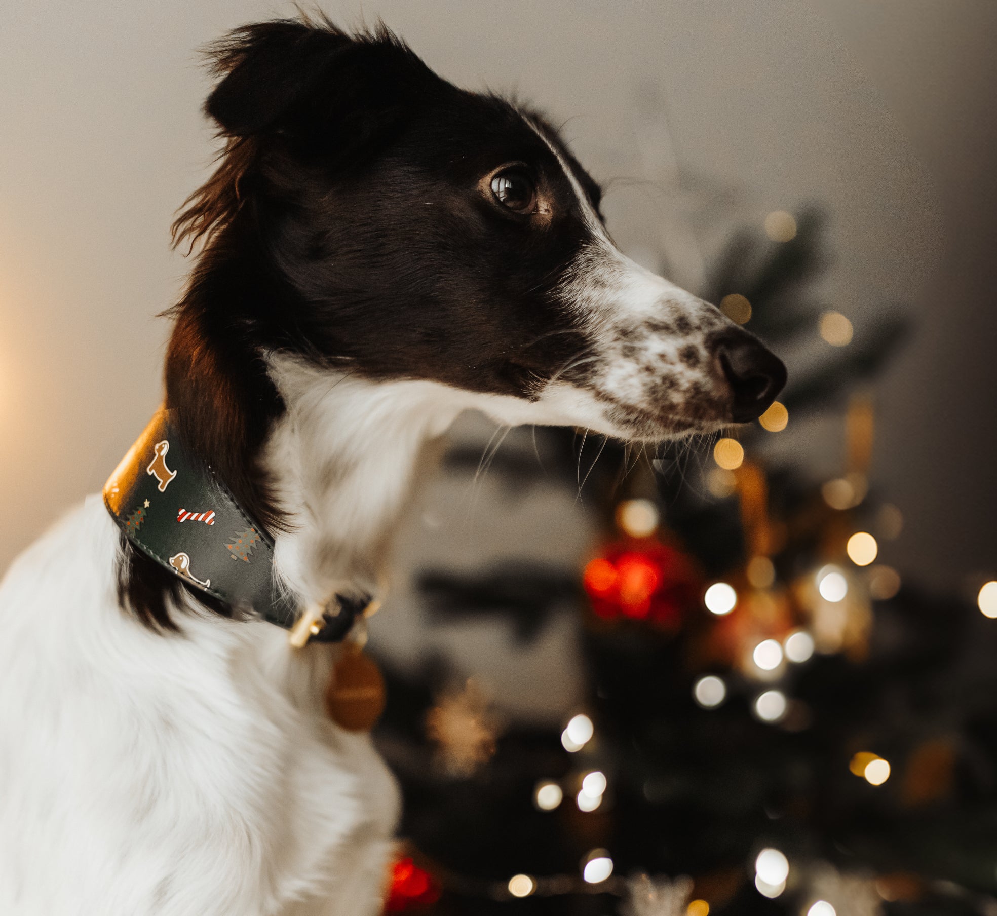 Collar de perro ancho de Navidad