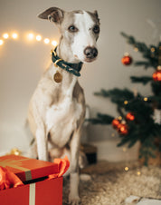 Collar de perro ancho de Navidad