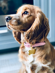 Collar de Perro Rosa Delgado