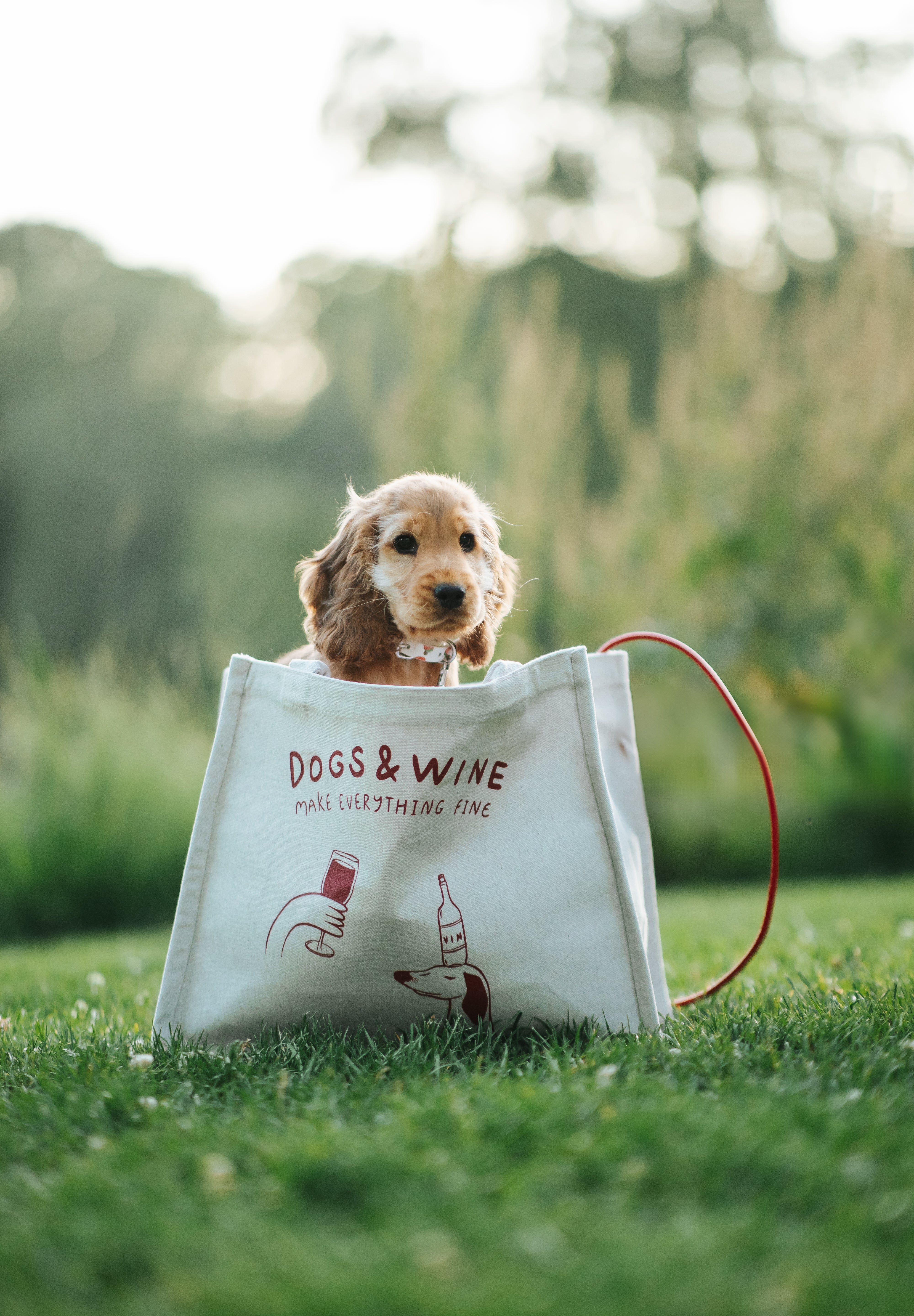 cockerspaniel-puppy-tote-bag.jpg