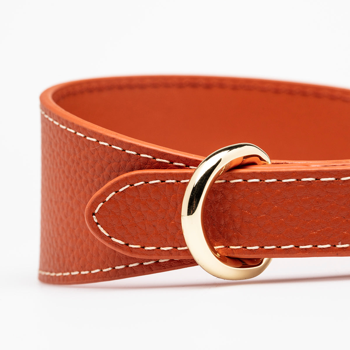 Collar de Perro Ancho en Cognac