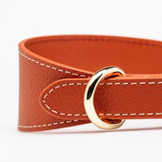 Collar de Perro Ancho en Cognac