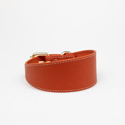 Collar de Perro Ancho en Cognac