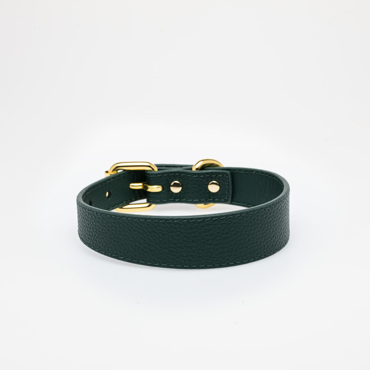 Collar de Perro Delgado Verde Oscuro