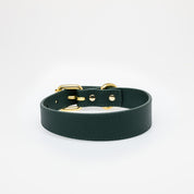 Collar de Perro Delgado Verde Oscuro