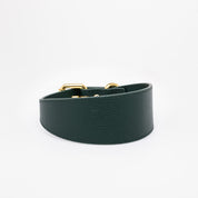 Collar de Perro Ancho Verde Oscuro