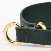 Martingale Ancho para Perro en Verde Oscuro