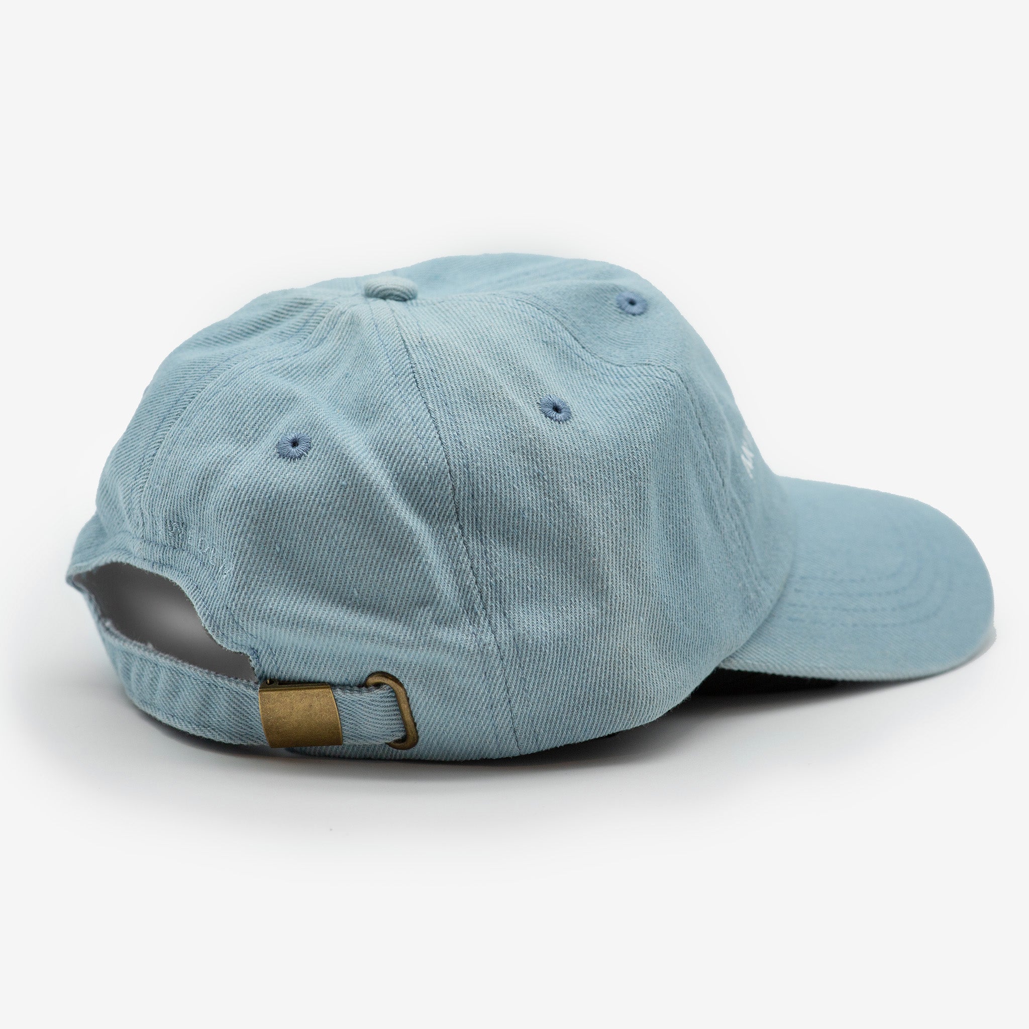 Gorra de mezclilla - Anti-Social Dog Owner
