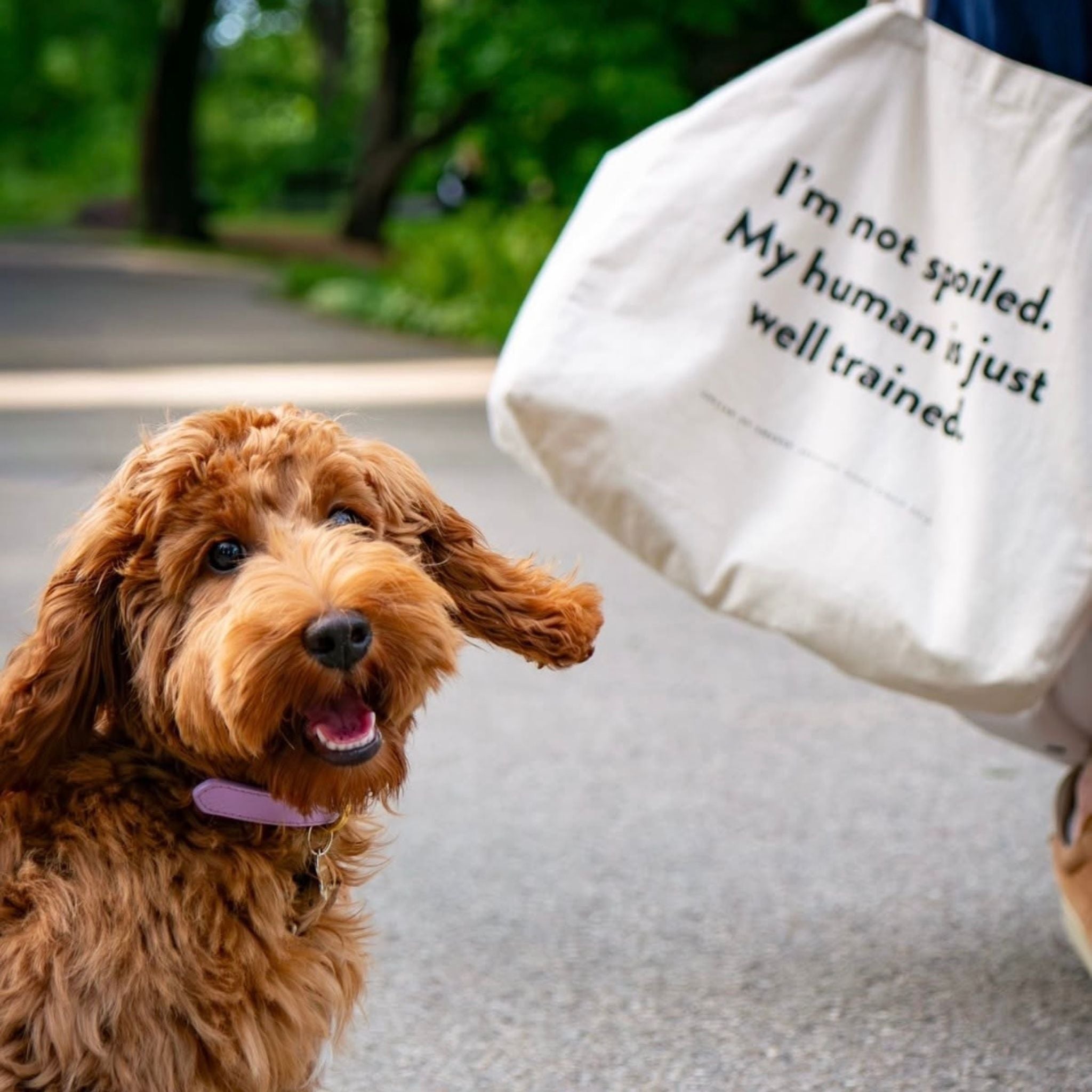 doodle-tote-bag-weekend-human-well-trained.jpg