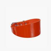 Collar de Perro Ancho Brillante en Color Naranja