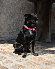 Collar para Perro Rosa Brillante Delgado