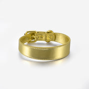 Collar de perro delgado metálico dorado