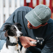 Gorra de Denim Verde - El Padrino Canino