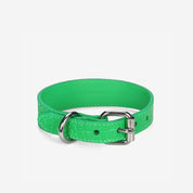 Collar de Perro Fino de Cocodrilo Verde Puro