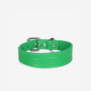 Collar de Perro Fino de Cocodrilo Verde Puro