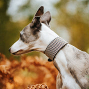 Collar de perro a cuadros beige de pata de gallo ancho