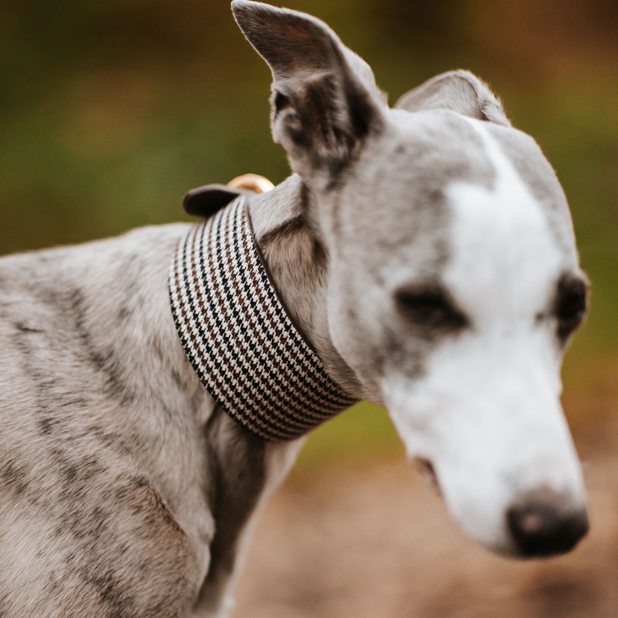 Collar de perro a cuadros beige de pata de gallo ancho