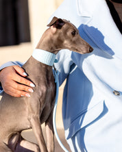 Correa para Perro en Azul Bebé