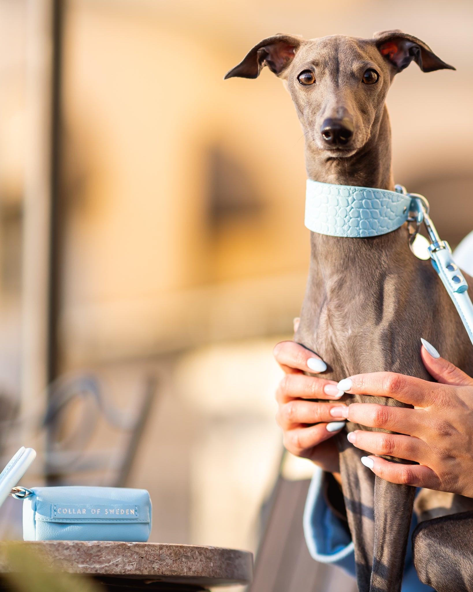 Porta bolsas para excrementos en azul bebé