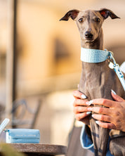 Porta bolsas para excrementos en azul bebé