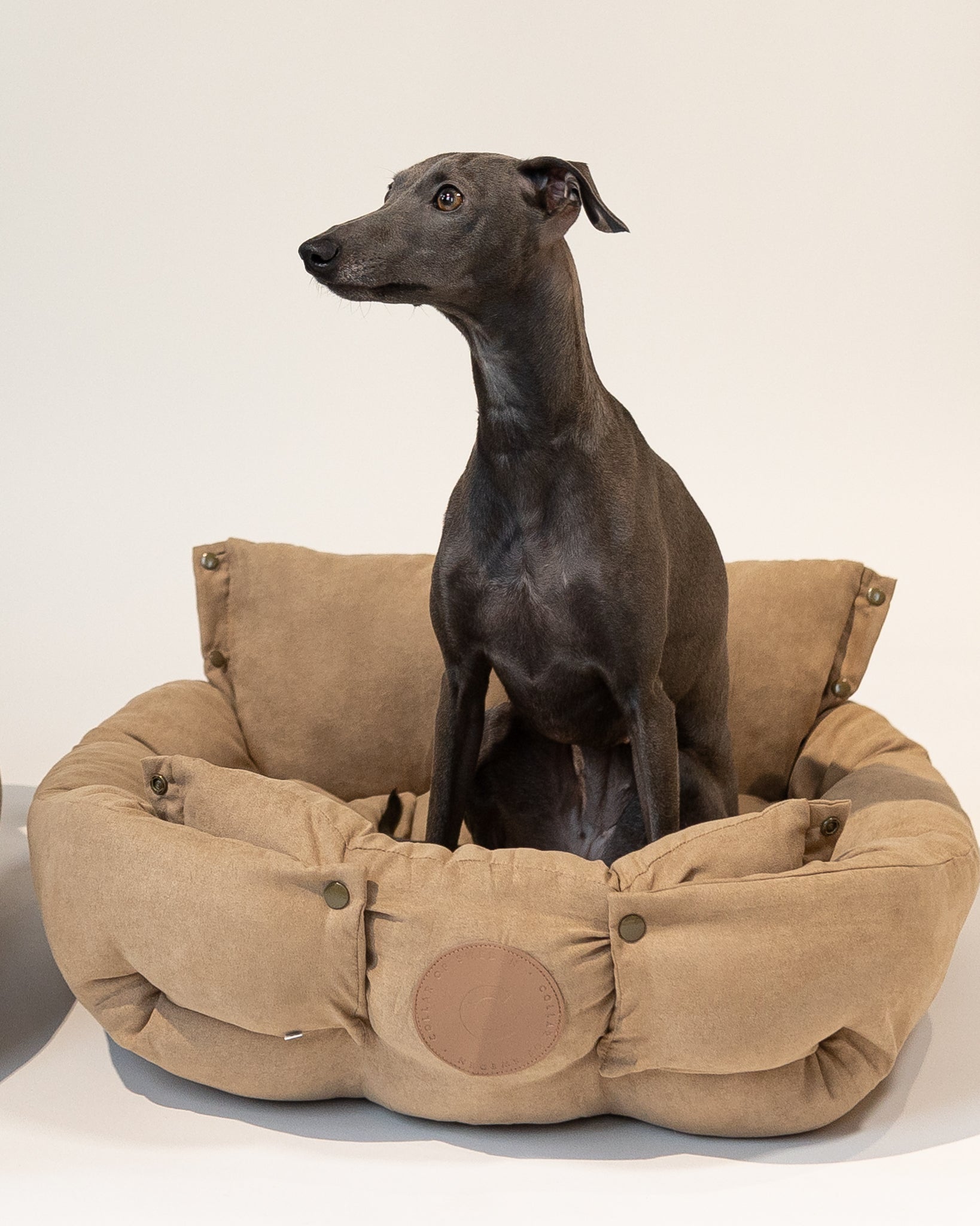 Cama para perro marrón 3 en 1