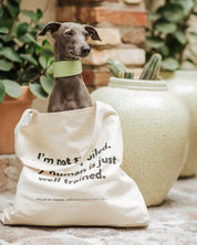Bolsa de tela de CoS