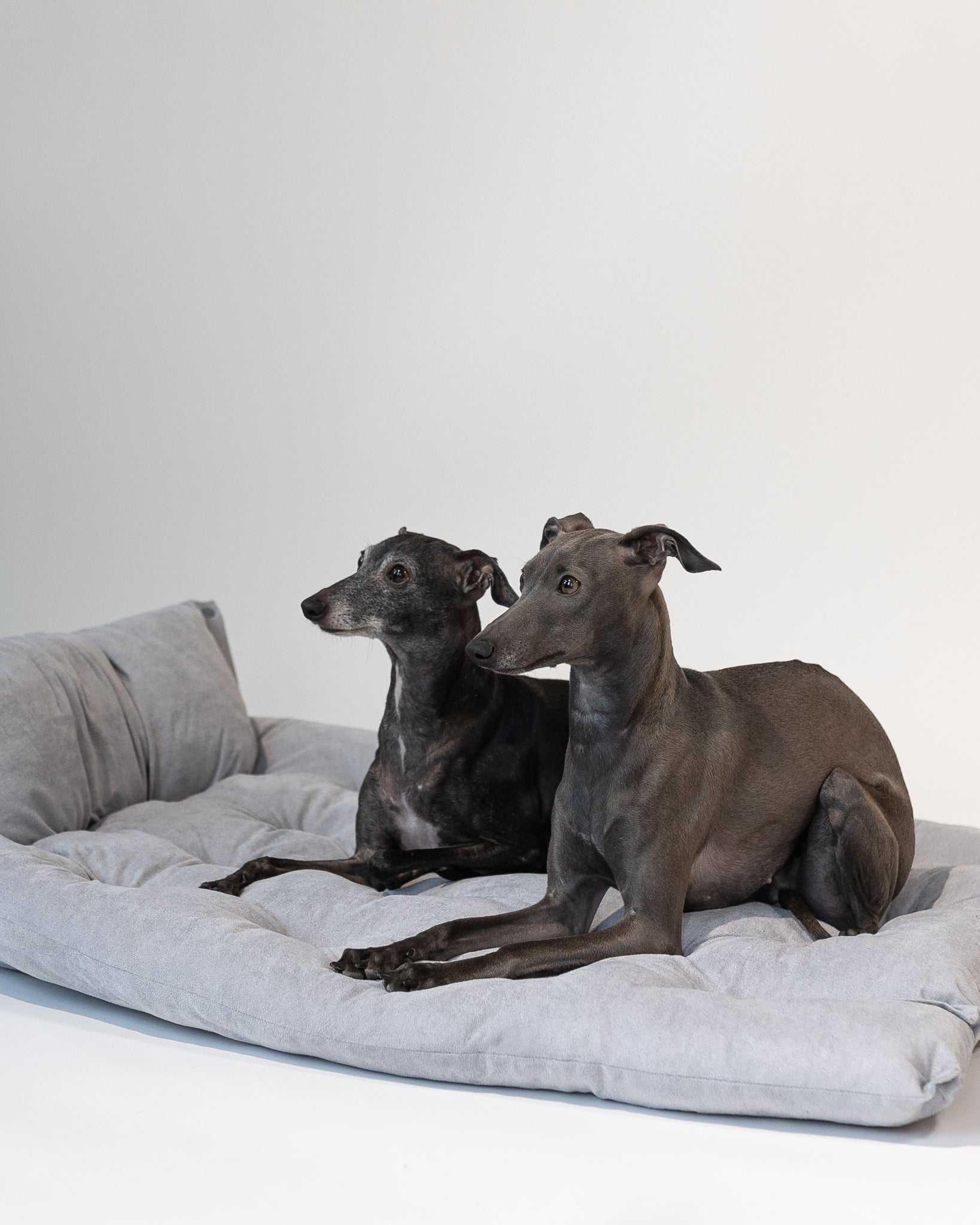 Cama de Perro Gris 3 en 1