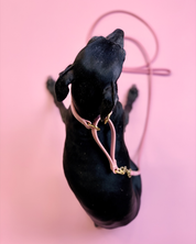 Rosa Collar de Perro Martingale Ancho