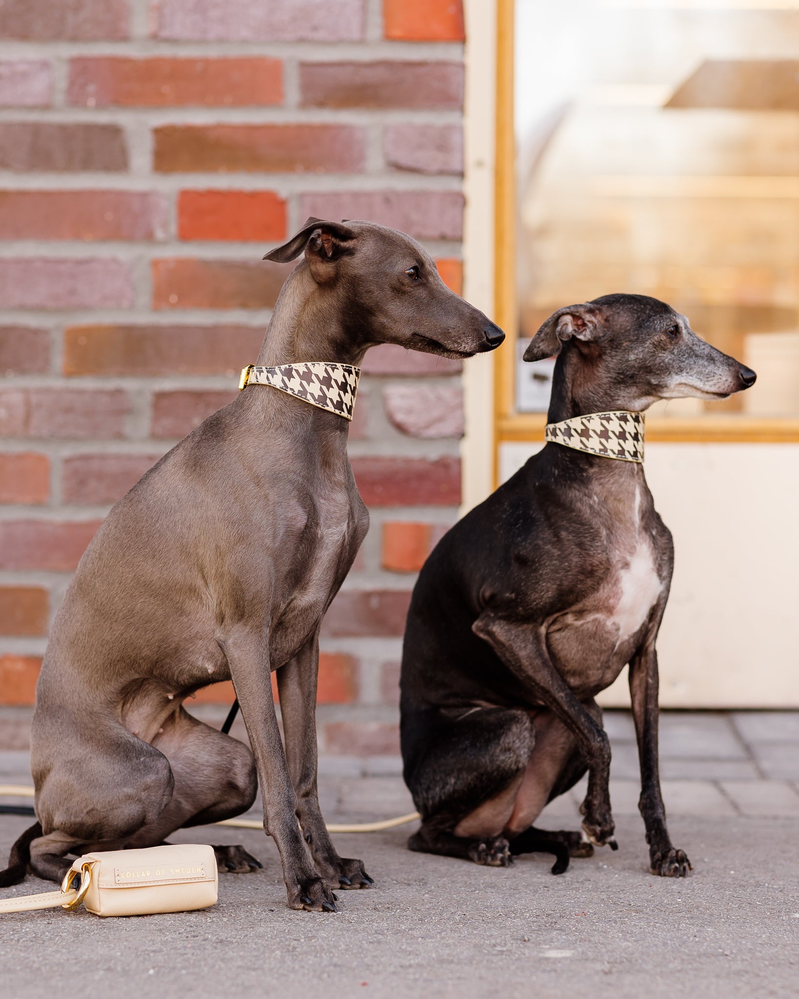 Collar de perro a cuadros beige de pata de gallo ancho