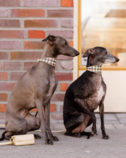 Collar de perro a cuadros beige de pata de gallo ancho