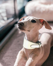Collar de Perro Ancho Reflectante en Plata