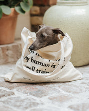 Bolsa de tela de CoS