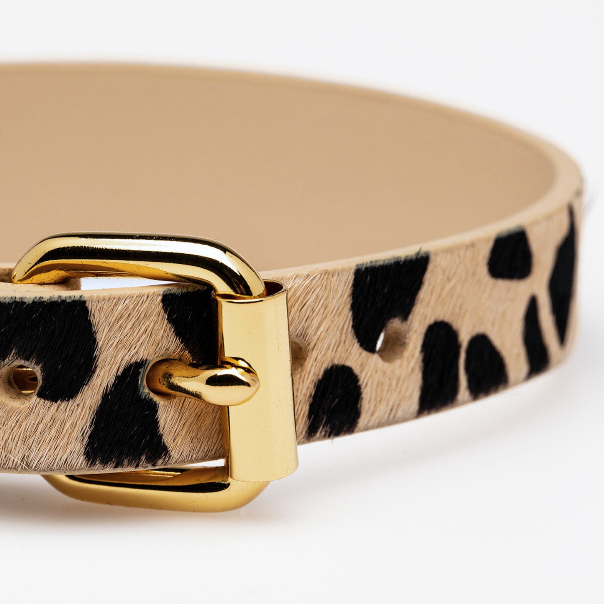 Collar de Perro Leopardo Ancho