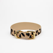Correa para Perro Leopardo Delgada
