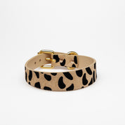 Correa para Perro Leopardo Delgada