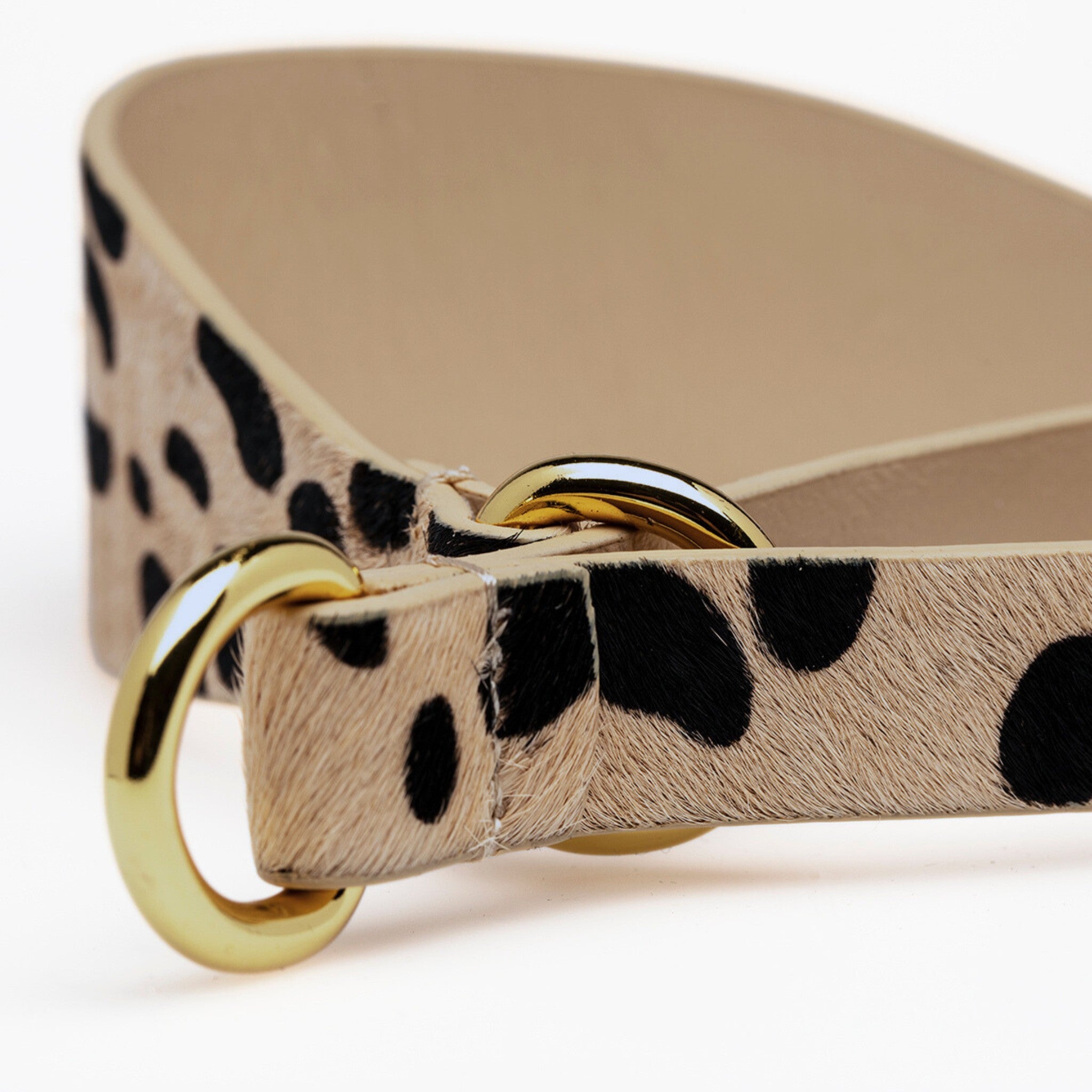 Leopardo Collar Martingale Ancho para Perros