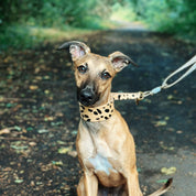 Leopardo Collar Martingale Ancho para Perros